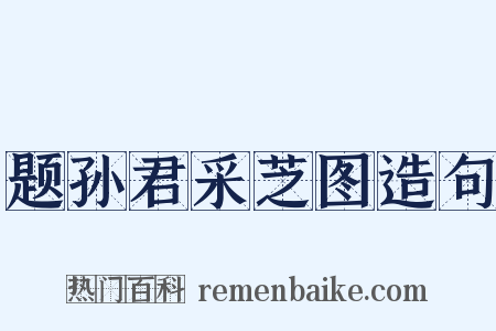 题孙君采芝图造句是什么意思的图片